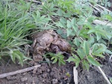 a bylo jich všude plno